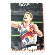 CARTE NBA BASKET BALL 1995 PLAYER CARDS DAN MAJERLE (265)