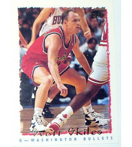 CARTE NBA BASKET BALL 1995 PLAYER CARDS SCOTT SKILES (274)