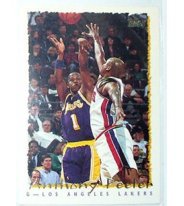 CARTE NBA BASKET BALL 1995 PLAYER CARDS ANTHONY PEELER (271)
