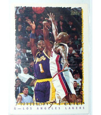 CARTE NBA BASKET BALL 1995 PLAYER CARDS ANTHONY PEELER (271)
