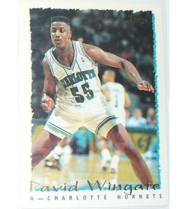 CARTE NBA BASKET BALL 1995 PLAYER CARDS DAVID WINGATE (298)