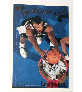 CARTE NBA BASKET BALL 1995 PLAYER CARDS DAVE ROBINSON (360)