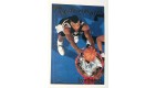 CARTE NBA BASKET BALL 1995 PLAYER CARDS DAVE ROBINSON (360)