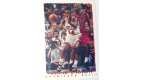 CARTE NBA BASKET BALL 1995 PLAYER CARDS CORIE BLOUNT (376)