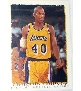 CARTE NBA BASKET BALL 1995 PLAYER CARDS ANTONIO HARVEY (367)