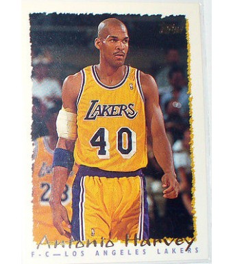 CARTE NBA BASKET BALL 1995 PLAYER CARDS ANTONIO HARVEY (367)