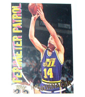 CARTE NBA BASKET BALL 1995 PLAYER CARDS JEF HORNACEK (304)