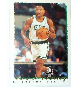 CARTE NBA BASKET BALL 1995 PLAYER CARDS DAVID WESLEY (317)