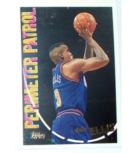 CARTE NBA BASKET BALL 1995 PLAYER CARDS DALE ELLIS (307)