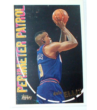 CARTE NBA BASKET BALL 1995 PLAYER CARDS DALE ELLIS (307)
