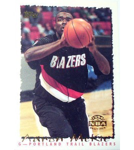 CARTE NBA BASKET BALL 1995 PLAYER CARDS AARON MCKIE (314)