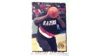 CARTE NBA BASKET BALL 1995 PLAYER CARDS AARON MCKIE (314)