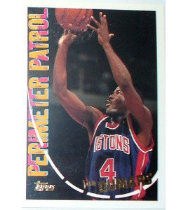 CARTE NBA BASKET BALL 1995 PLAYER CARDS JOE DUMARS (309)