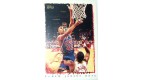 CARTE NBA BASKET BALL 1995 PLAYER CARDS P.J BROWN (316)