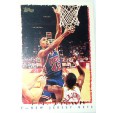 CARTE NBA BASKET BALL 1995 PLAYER CARDS P.J BROWN (316)