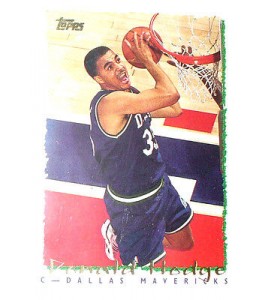 CARTE NBA BASKET BALL 1995 PLAYER CARDS DONALD HODGE (331)