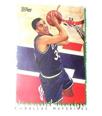 CARTE NBA BASKET BALL 1995 PLAYER CARDS DONALD HODGE (331)
