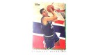 CARTE NBA BASKET BALL 1995 PLAYER CARDS DONALD HODGE (331)