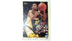 CARTE NBA BASKET BALL 1995 PLAYER CARDS VERN FLEMING (327)