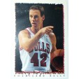 CARTE NBA BASKET BALL 1995 PLAYER CARDS LARRY KRYSTKOWIAK (321)