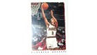 CARTE NBA BASKET BALL 1995 PLAYER CARDS MAHMOUD ABDUL-RAUF (325)