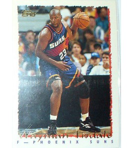 CARTE NBA BASKET BALL 1995 PLAYER CARDS WAYMAN TISDALE (328)