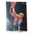 CARTE NBA BASKET BALL 1995 PLAYER CARDS SEAN HIGGINS (342)