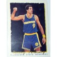 CARTE NBA BASKET BALL 1995 PLAYER CARDS RONY SEIKALY (347)