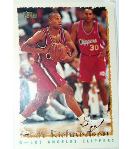 CARTE NBA BASKET BALL 1995 PLAYER CARDS POOH RICHARDSON (352)
