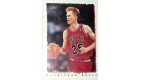 CARTE NBA BASKET BALL 1995 PLAYER CARDS STEVE KERR (343)