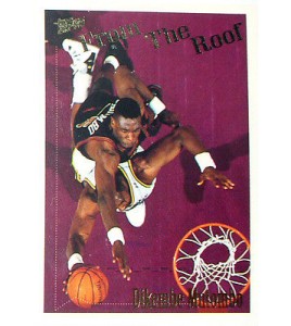 CARTE NBA BASKET BALL 1995 PLAYER CARDS DIKEMBE MUTOMBO (340)