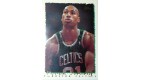 CARTE NBA BASKET BALL 1995 PLAYER CARDS DEREK STRONG (358)