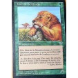 LION DE LA MTENDA - INDIQUER LION -  VF CARTE MTG MAGIC