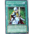 CARTE YU-GI-OH! SEIGNEUR DE LA SUPPRESSION -SD6-FR019 