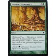 FENAISON ET SEMENCE - RITUEL - VF CARTE MTG MAGIC