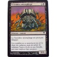 SCARABEE NECROPHAGE - CREATURE INSECTE - VF CARTE MTG MAGIC 
