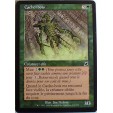 CACHE BOIS - CREATURE ELFE - VF CARTE MTG MAGIC