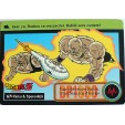 CARTE DRAGON BALL Z CARDDASS BANDAI 1995 - N-¦67 YAMU & SPOROVITCH
