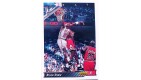 CARTE  NBA BASKET BALL 1993  PLAYER CARDS BRIAN SHAW (202)