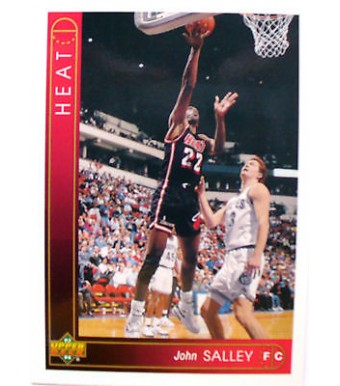 CARTE  NBA BASKET BALL 1994  PLAYER CARDS JOHN SALLEY (51)