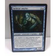 MAGIC MTG Surineur amphin ( Amphin Cutthroat )