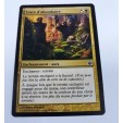 Trace d'abondance La Renaissance d'Alara n°142 (Français) MTG Magic NM