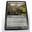 carte magic the gathering mtg - essaim de bourgeons - vision de l'avenir 