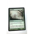carte magic mtg  brouillard éphémère 