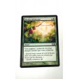 Carte MAGIC MTG - Récolte généreuse - Bountiful harv - Magic 2012 - VF - Occ