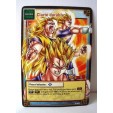 Carte Dragon Ball Z Clarté durable D-401