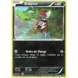 Carte Pokémon Scalpion 60pv 63 114 XY Offensive Vapeur 