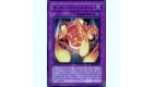 ABPF-FR072 Désintégration De Noyau Puissance Absolue Carte Yugioh 