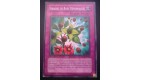 carte yu-gi oh - graines de rose démoniaque - ptdn-fr065 - commune