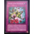 carte yu-gi oh - graines de rose démoniaque - ptdn-fr065 - commune